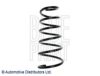 SUZUK 4111162J30 Coil Spring